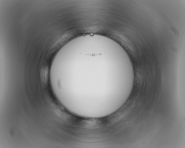 X0000110320118200906042051