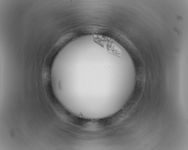 X0000110320119200906042051