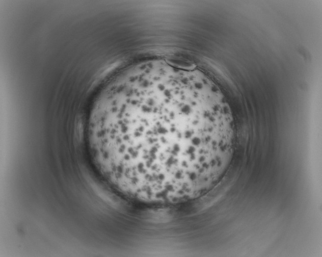 X0000110320120200906042051