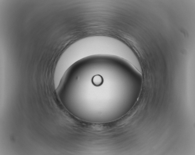 X0000110320121200906042051