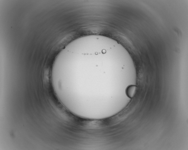 X0000110320122200906042051