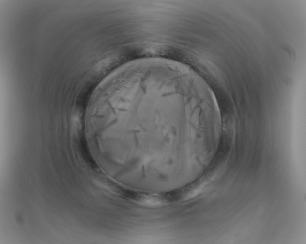 X0000110320127200906042051