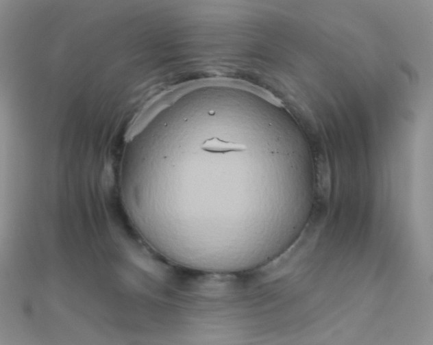 X0000110320128200906042051