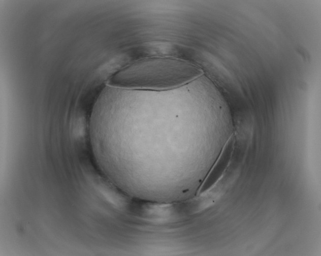 X0000110320132200906042051