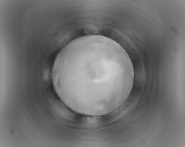 X0000110320134200906042051