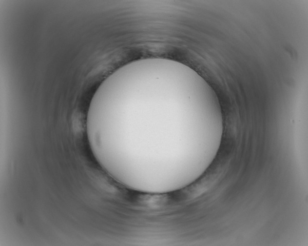 X0000110320135200906042051