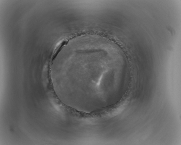 X0000110320144200906042051