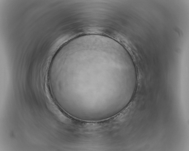 X0000110320145200906042050