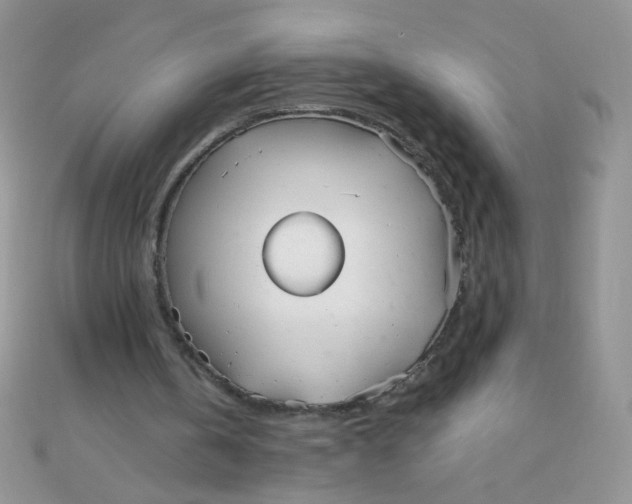 X0000110320146200906042050