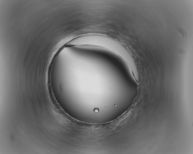 X0000110320148200906042050