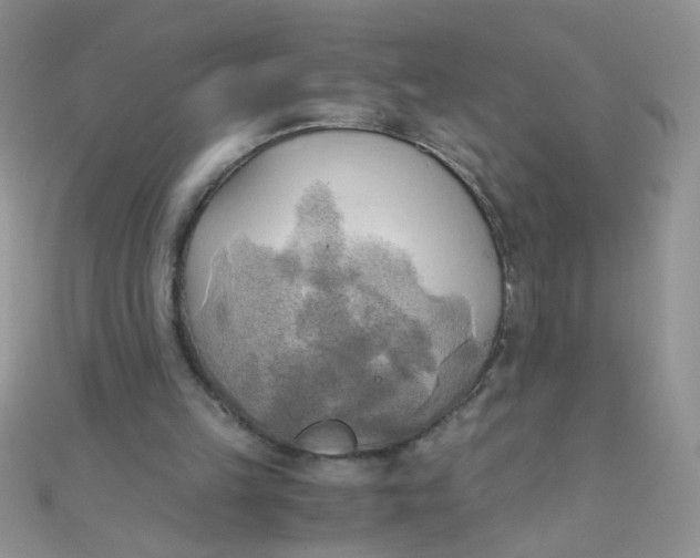 X0000110320149200906042050