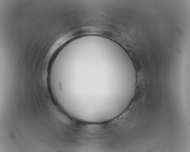 X0000110320150200906042050