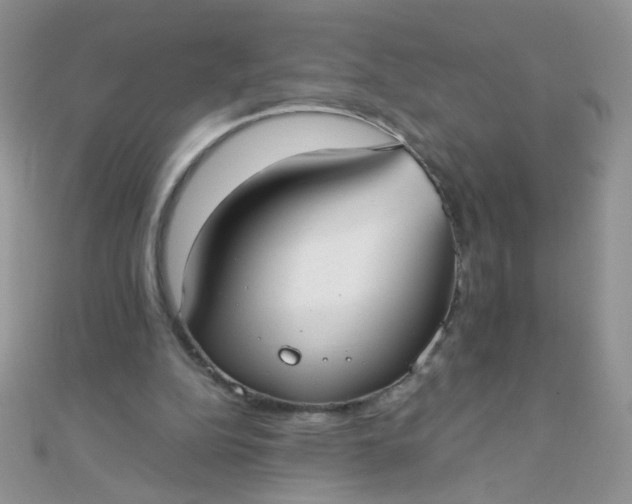 X0000110320152200906042050