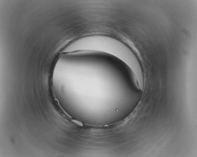 X0000110320154200906042050