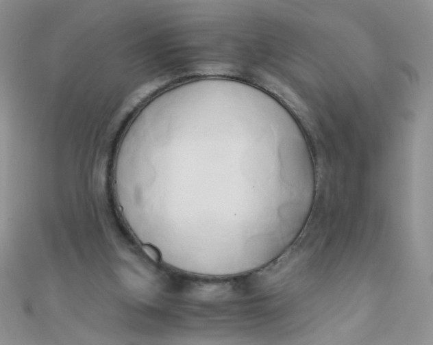 X0000110320155200906042050