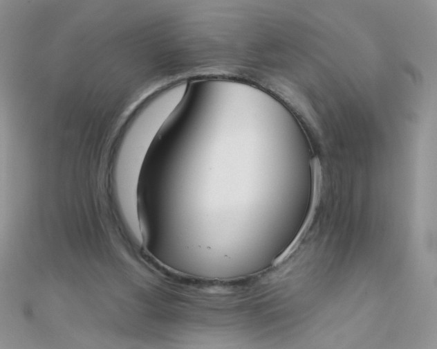 X0000110320156200906042050