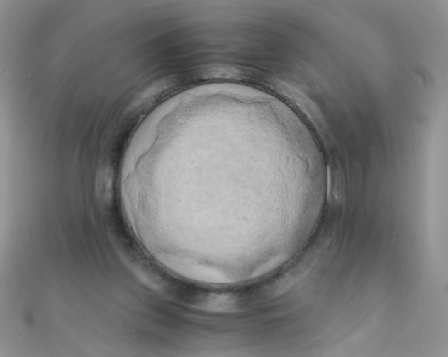 X0000110320157200906042050