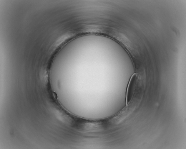 X0000110320160200906042051