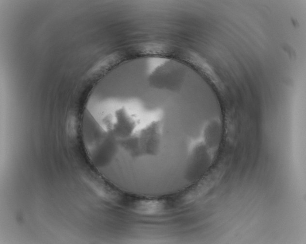 X0000110320161200906042051