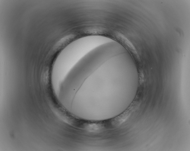 X0000110320163200906042051