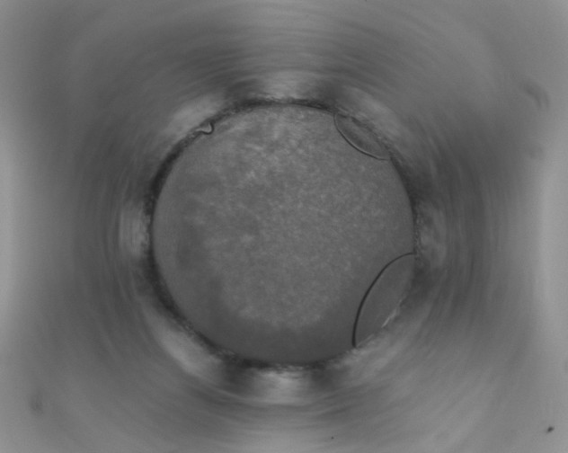 X0000110320164200906042051