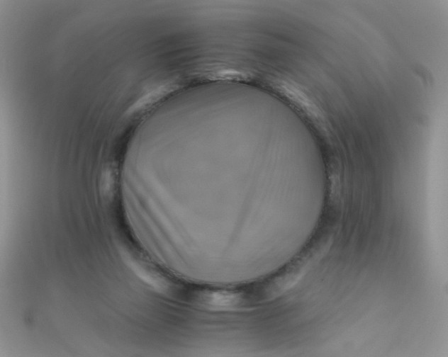 X0000110320165200906042051