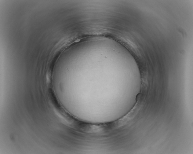 X0000110320166200906042051