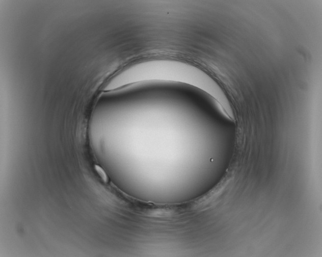 X0000110320168200906042051