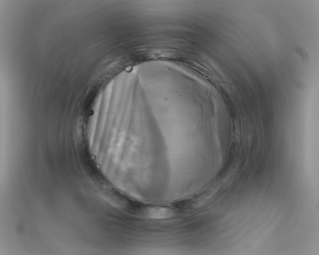 X0000110320169200906042051