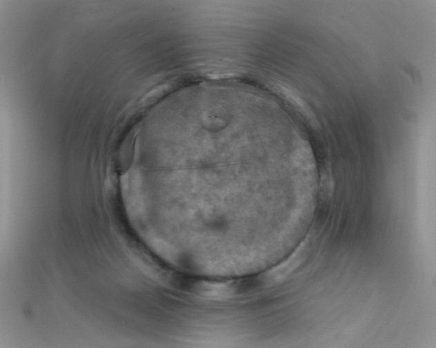 X0000110320170200906042051