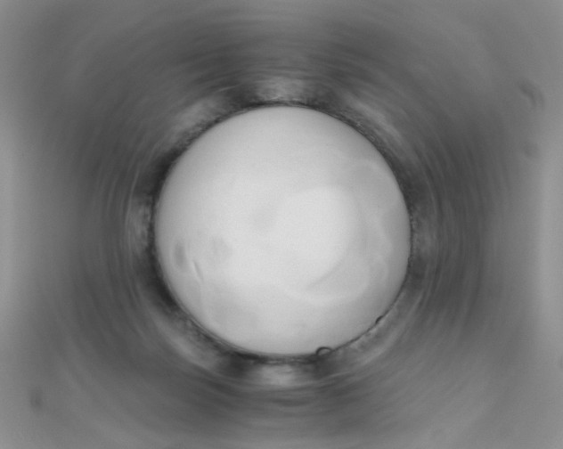 X0000110320171200906042051