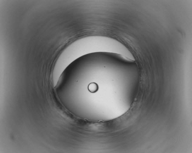 X0000110320172200906042051