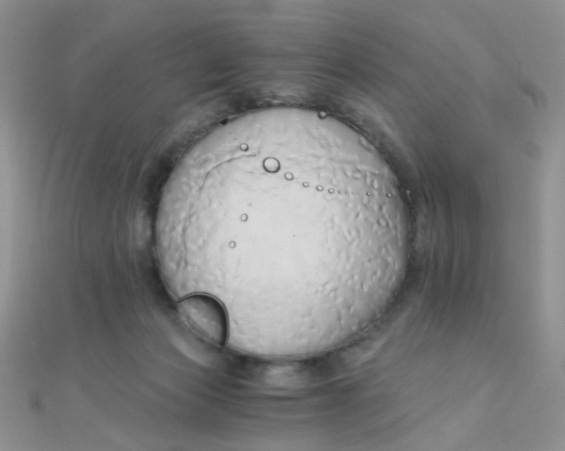 X0000110320173200906042051