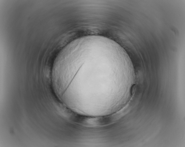 X0000110320178200906042051