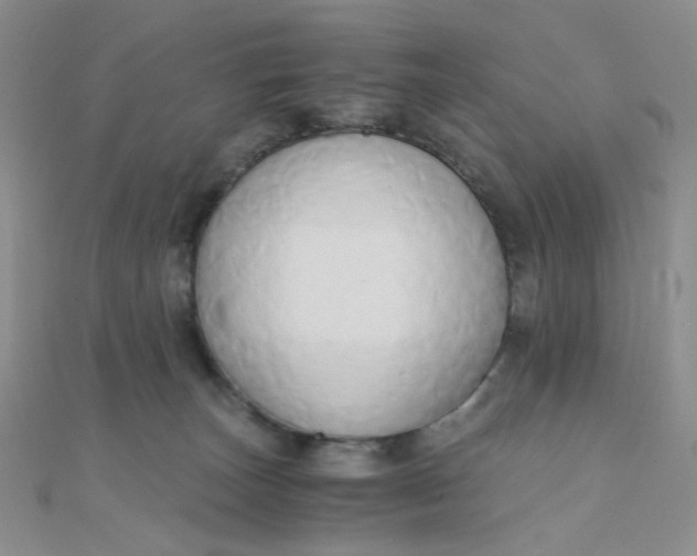 X0000110320179200906042051