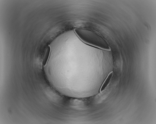 X0000110320180200906042051