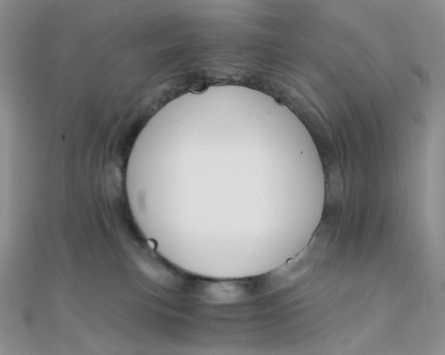 X0000110320183200906042051