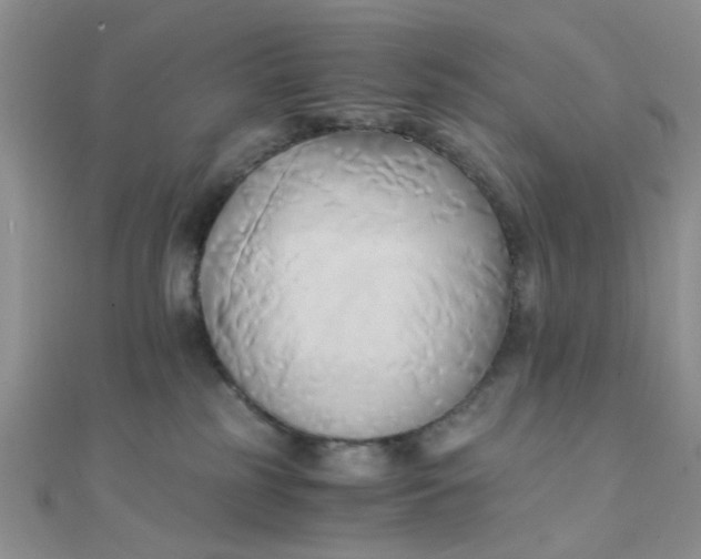 X0000110320185200906042051