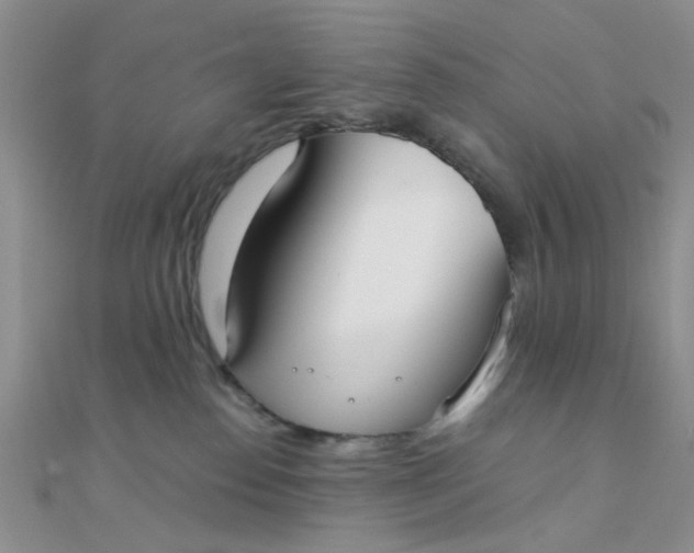 X0000110320186200906042051