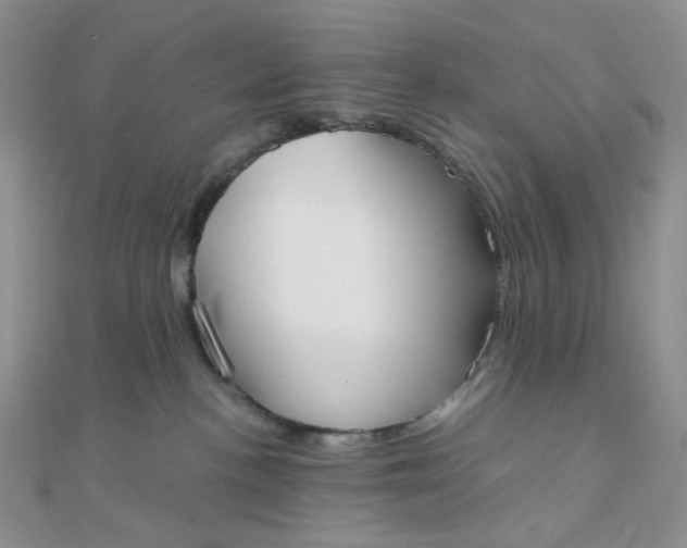 X0000110320188200906042051