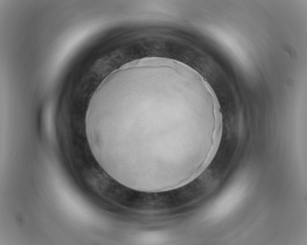 X0000110320189200906042051