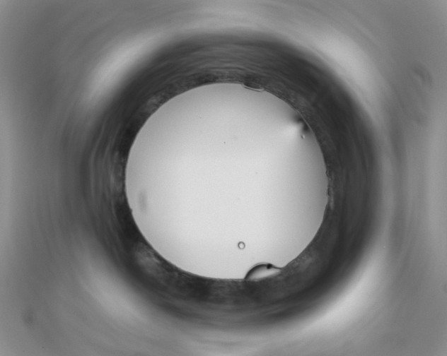 X0000110320190200906042051