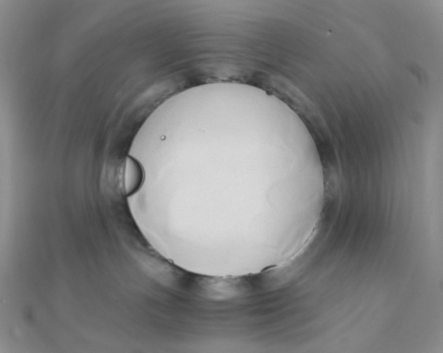 X0000110320191200906042051