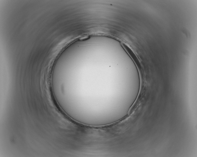 X0000110320193200906042050