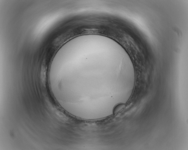 X0000110320194200906042050