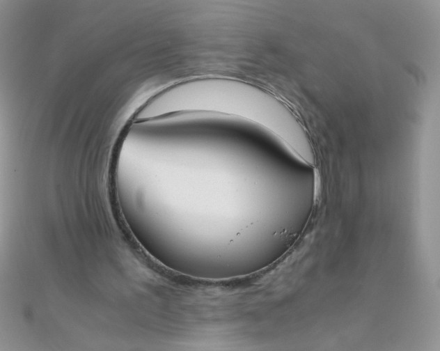 X0000110320195200906042050