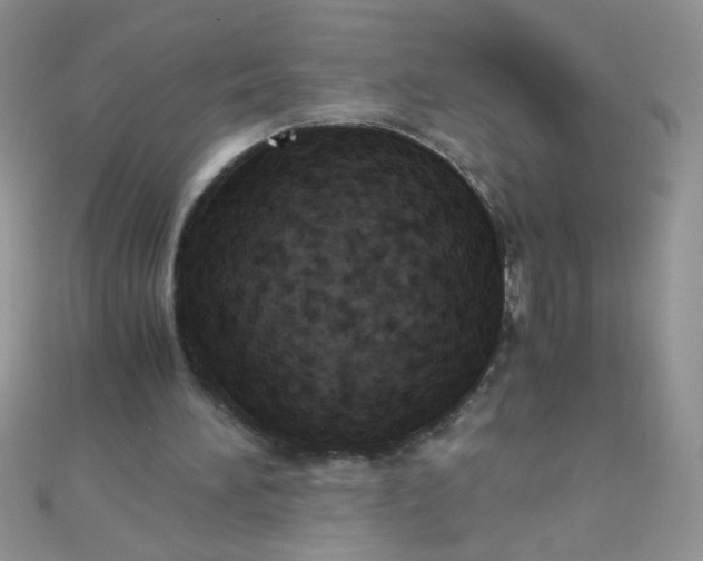 X0000110320196200906042050