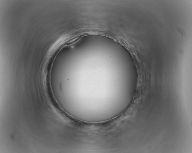 X0000110320197200906042050