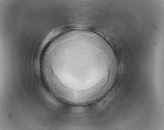 X0000110320198200906042050