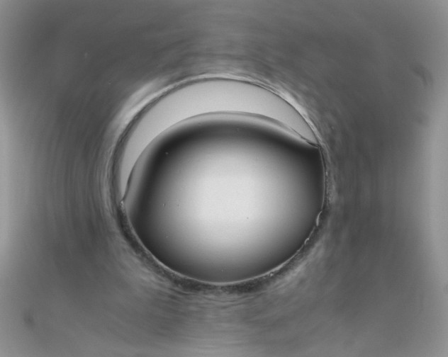 X0000110320199200906042050